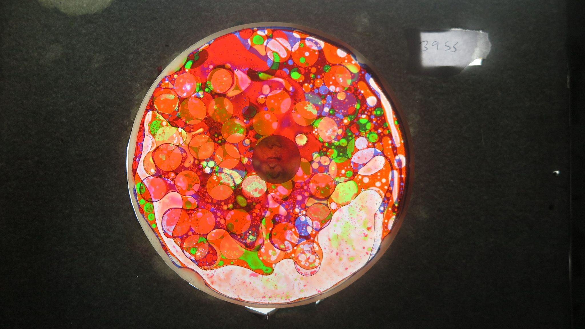 BV3955 bubble vision oil wheel